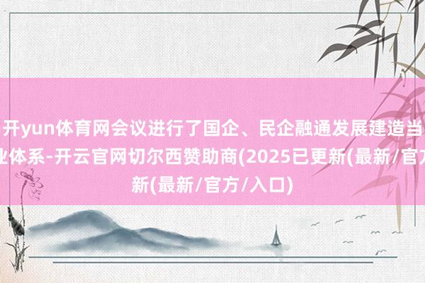 开yun体育网会议进行了国企、民企融通发展建造当代化产业体系-开云官网切尔西赞助商(2025已更新(最新/官方/入口)