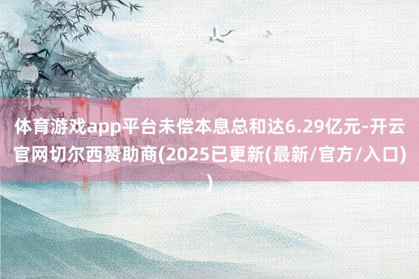 体育游戏app平台未偿本息总和达6.29亿元-开云官网切尔西赞助商(2025已更新(最新/官方/入口)
