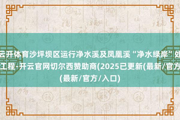 云开体育沙坪坝区运行净水溪及凤凰溪“净水绿岸”处治提高工程-开云官网切尔西赞助商(2025已更新(最新/官方/入口)