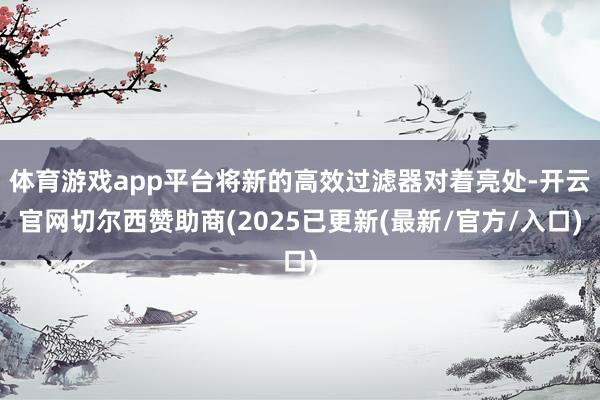 体育游戏app平台将新的高效过滤器对着亮处-开云官网切尔西赞助商(2025已更新(最新/官方/入口)