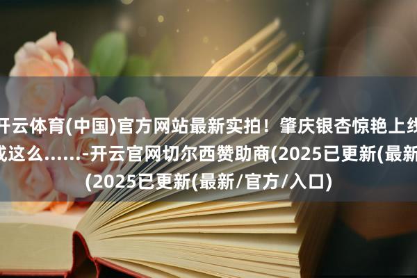 开云体育(中国)官方网站最新实拍！肇庆银杏惊艳上线，已好意思成这么......-开云官网切尔西赞助商(2025已更新(最新/官方/入口)