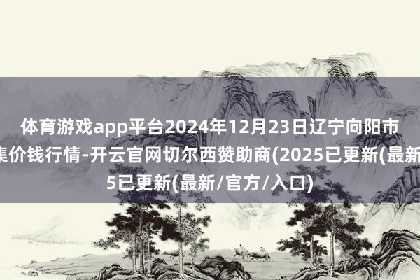 体育游戏app平台2024年12月23日辽宁向阳市果菜批发市集价钱行情-开云官网切尔西赞助商(2025已更新(最新/官方/入口)