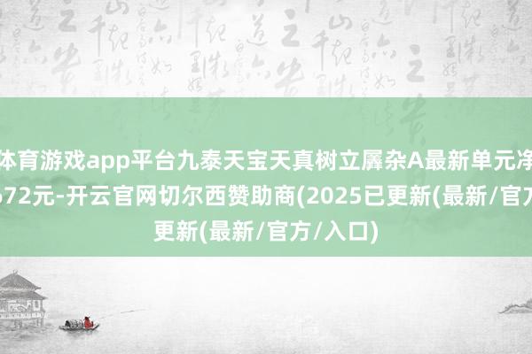 体育游戏app平台九泰天宝天真树立羼杂A最新单元净值为0.672元-开云官网切尔西赞助商(2025已更新(最新/官方/入口)