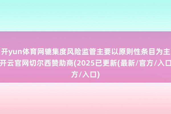 开yun体育网辘集度风险监管主要以原则性条目为主-开云官网切尔西赞助商(2025已更新(最新/官方/入口)