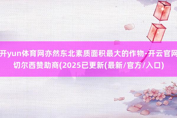 开yun体育网亦然东北素质面积最大的作物-开云官网切尔西赞助商(2025已更新(最新/官方/入口)
