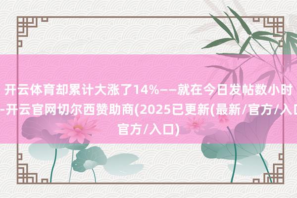 开云体育却累计大涨了14%——就在今日发帖数小时后-开云官网切尔西赞助商(2025已更新(最新/官方/入口)